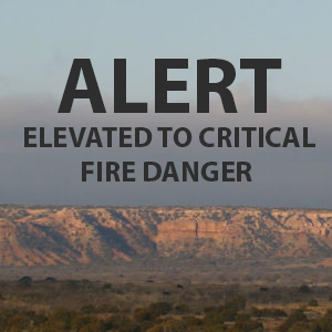 <p><span>Texas A&M Forest Service has positioned firefighting
personnel and equipment in the Texas Panhandle and South Plains in preparation for
forecasted elevated to critical fire weather in the areas, with anticipation of
conditions becoming progressively worse today, tomorrow and into the weekend.</span></p>
<p><span></span></p>